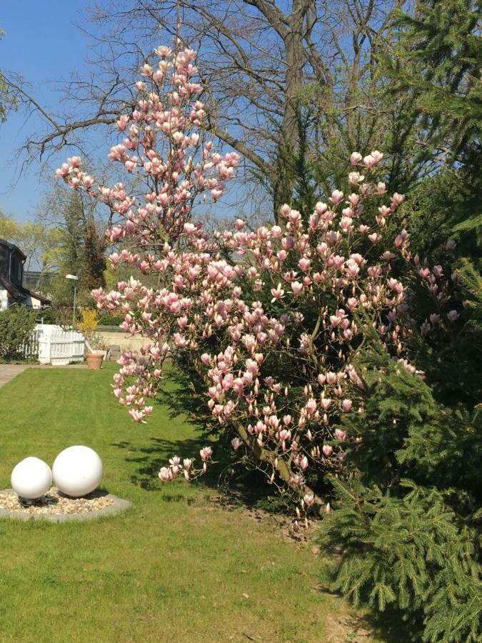 Hotel Havel Lodge Berlin Bagian luar foto